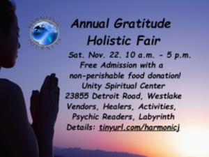 holistic fair